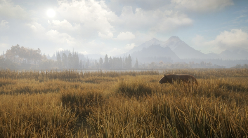 猎人：荒野的召唤 theHunter: Call of the Wild_0