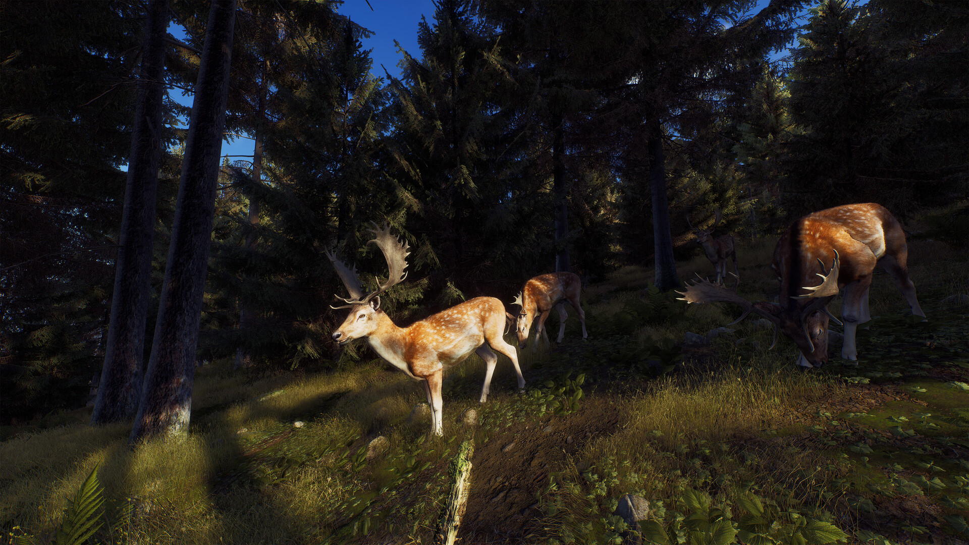 猎人之路/Way of the Hunter_0