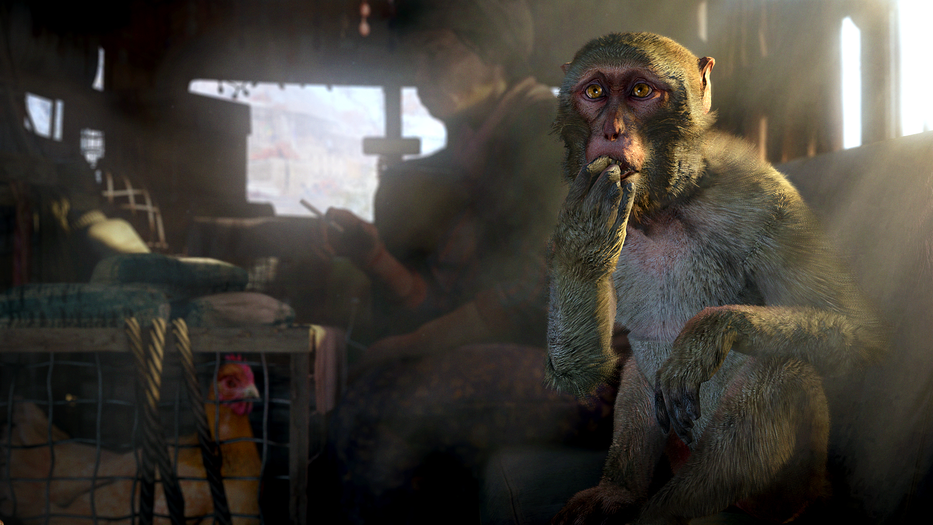 孤岛惊魂4/Far Cry 4_3